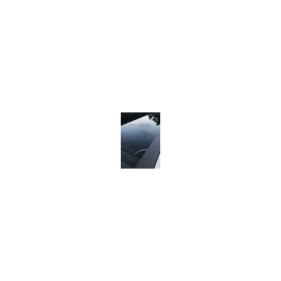 Pate de verre noir lisse