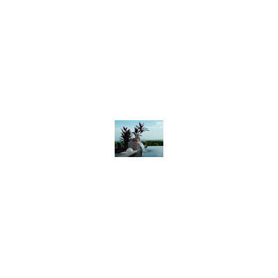 Lame d’eau en inox Lame d’eau en inox