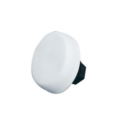 Bouton poussoir pneumatique galet Bouton poussoir pneumatique galet