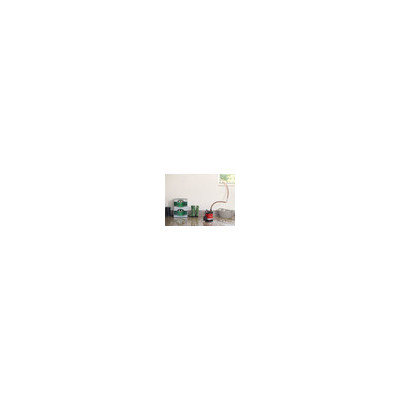 Pompe vide-cave DRAIN 10 000 DS