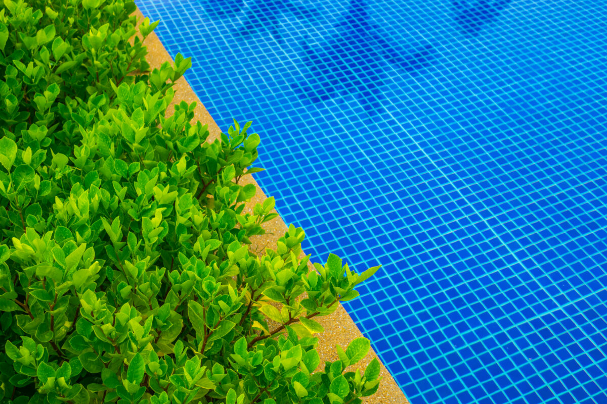 Revêtement pour sa piscine : guide complet 2026