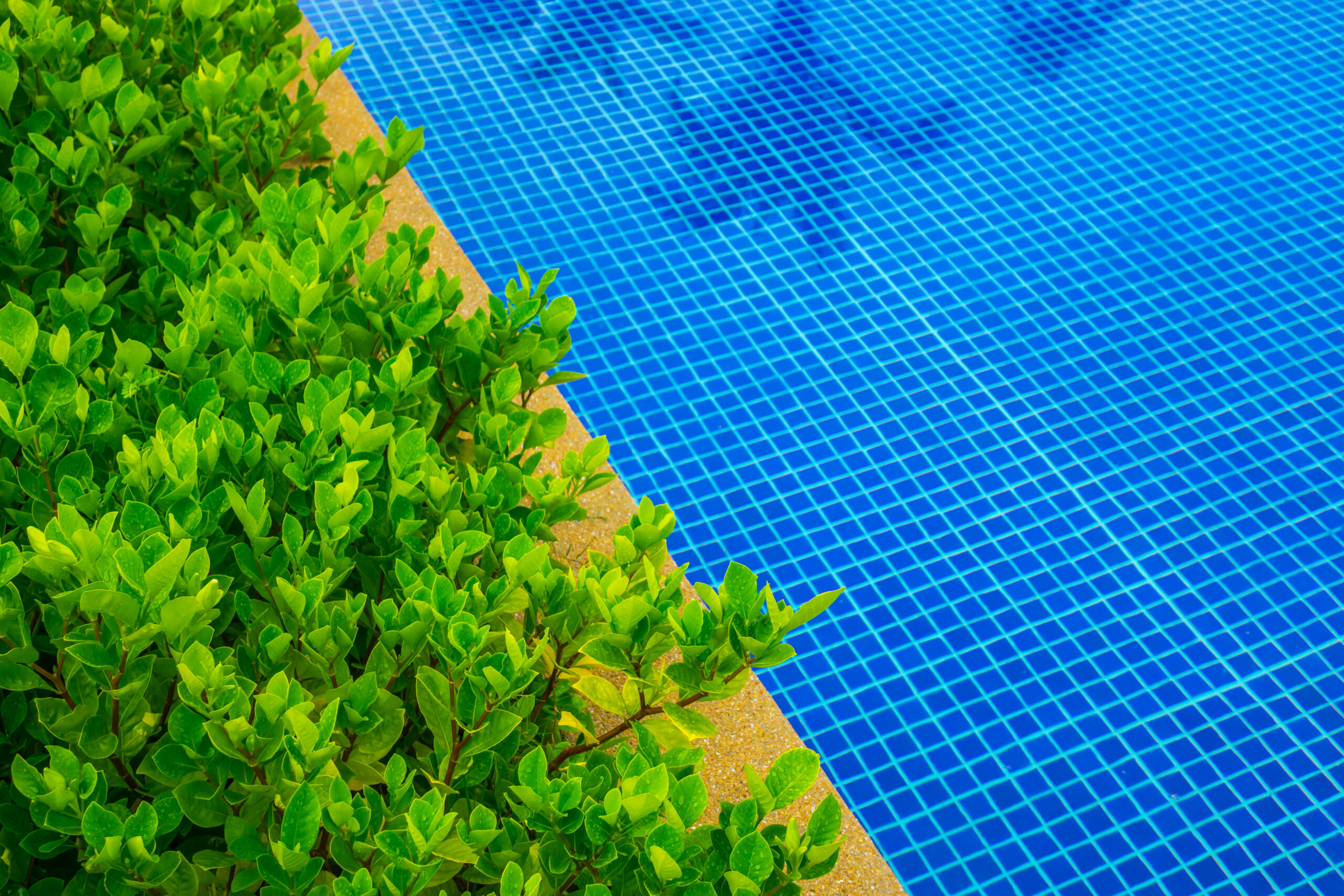 Revêtement pour sa piscine : guide complet 2026
